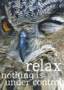 relax-nothing-is-under-control